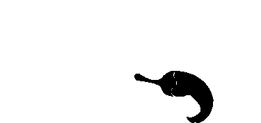 /